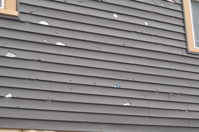 Siding Restoration